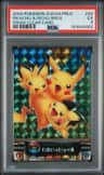 Pikachu & Pichu Bros