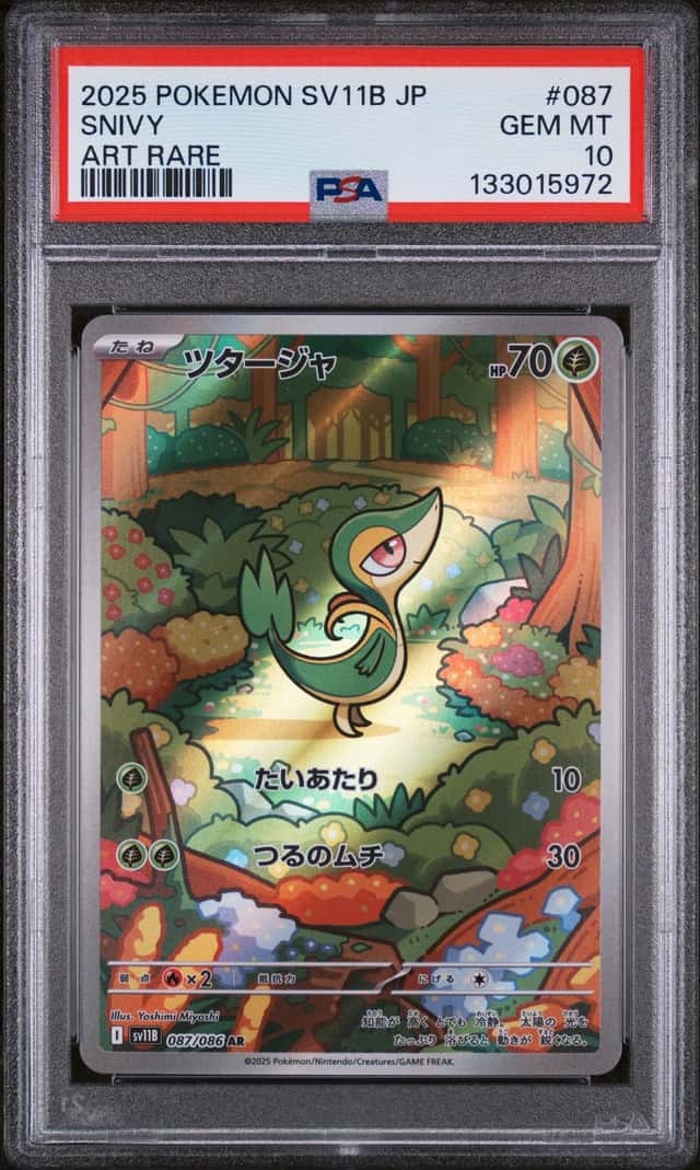 Snivy