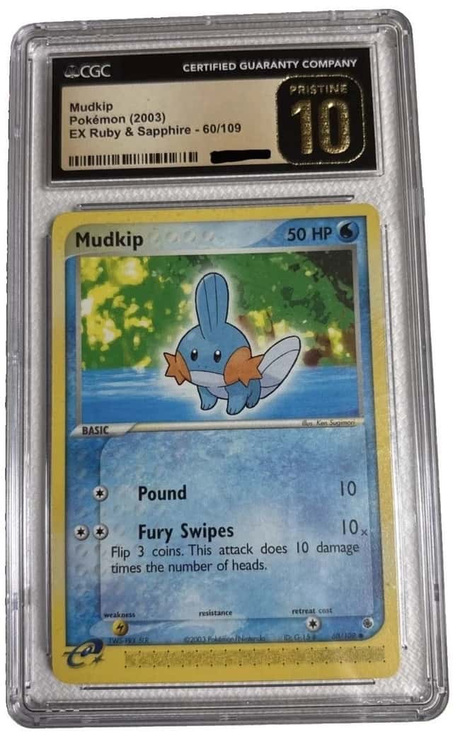 Mudkip