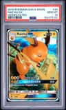 Raichu Gx