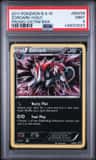 Zoroark