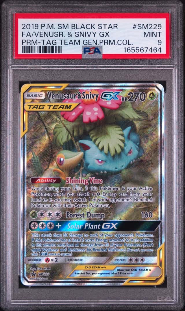 Venusaur & Snivy GX