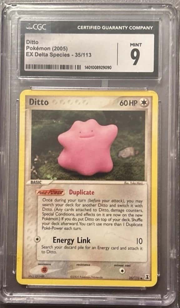 Ditto