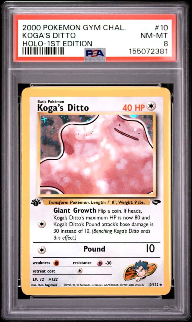 Koga's Ditto