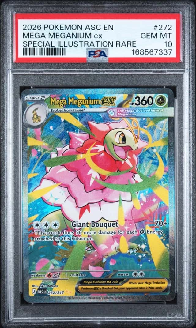 MEGA MEGANIUM ex