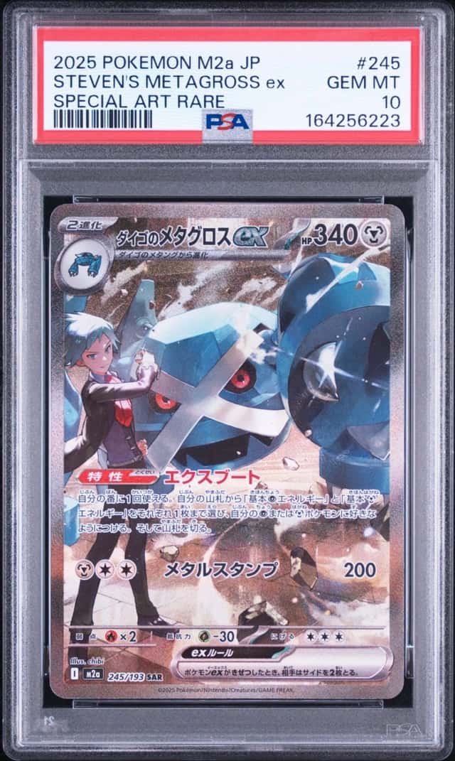 STEVEN'S METAGROSS ex