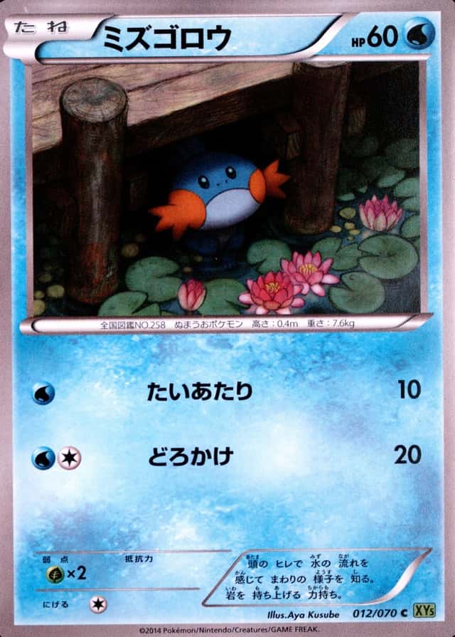 Base / no variant