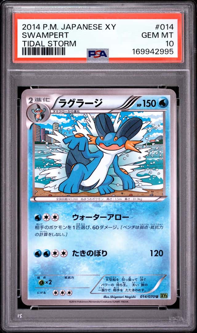 Swampert