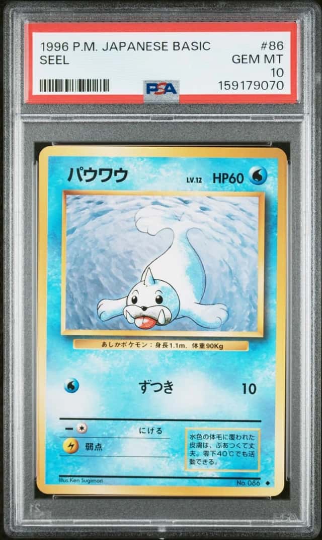 Seel