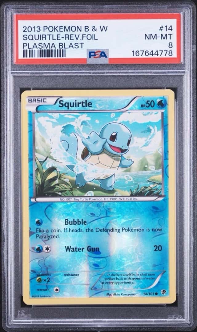 Squirtle