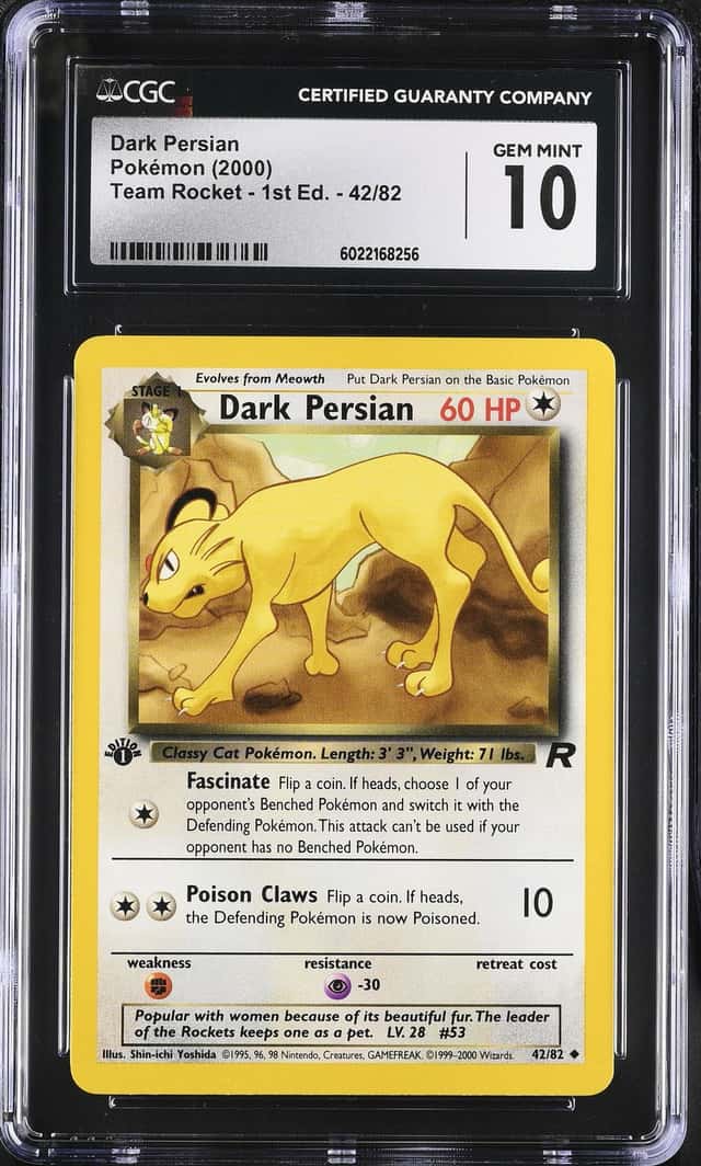 Dark Persian