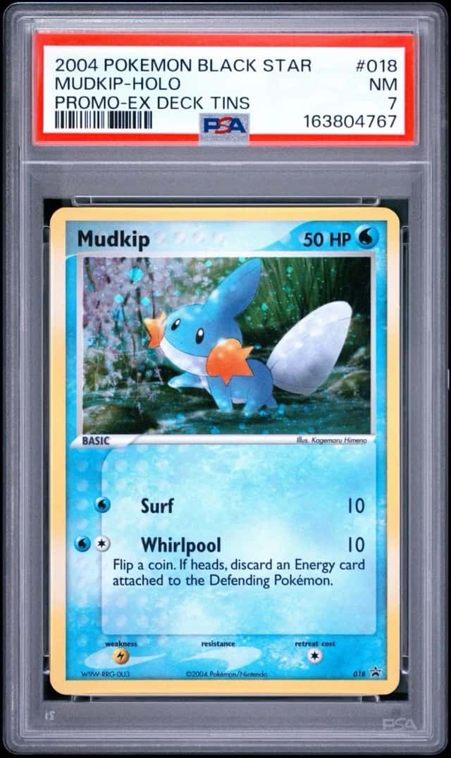 Mudkip