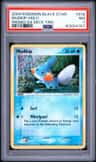 Mudkip