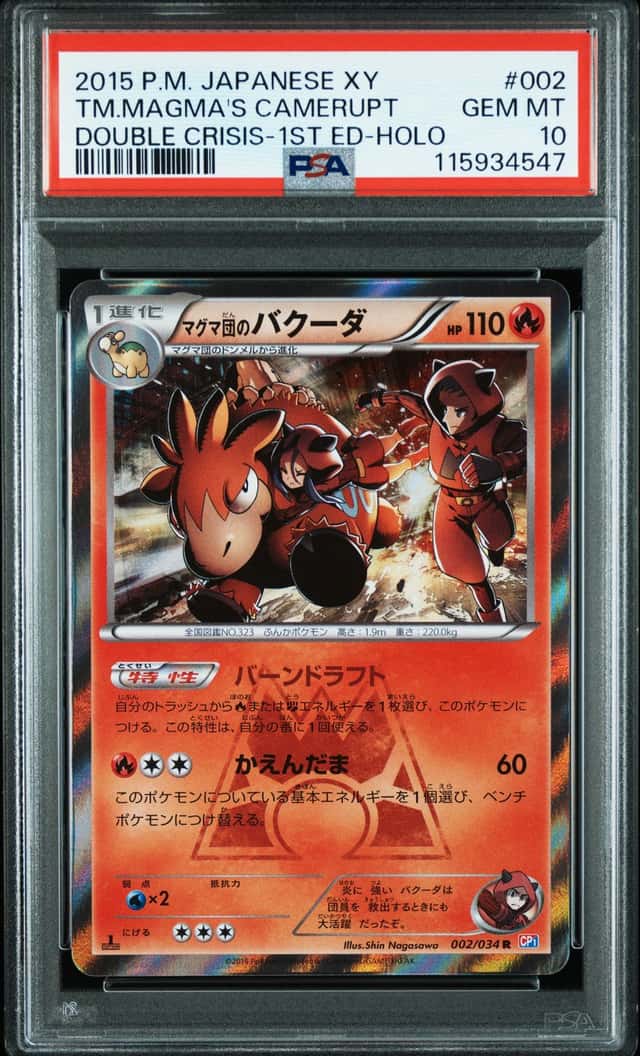 Team Magma's Camerupt