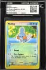 Mudkip
