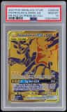 Pikachu & Zekrom Gx