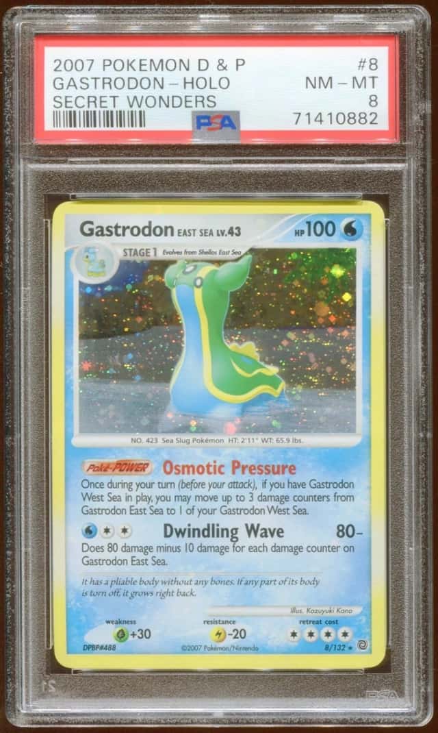 Gastrodon