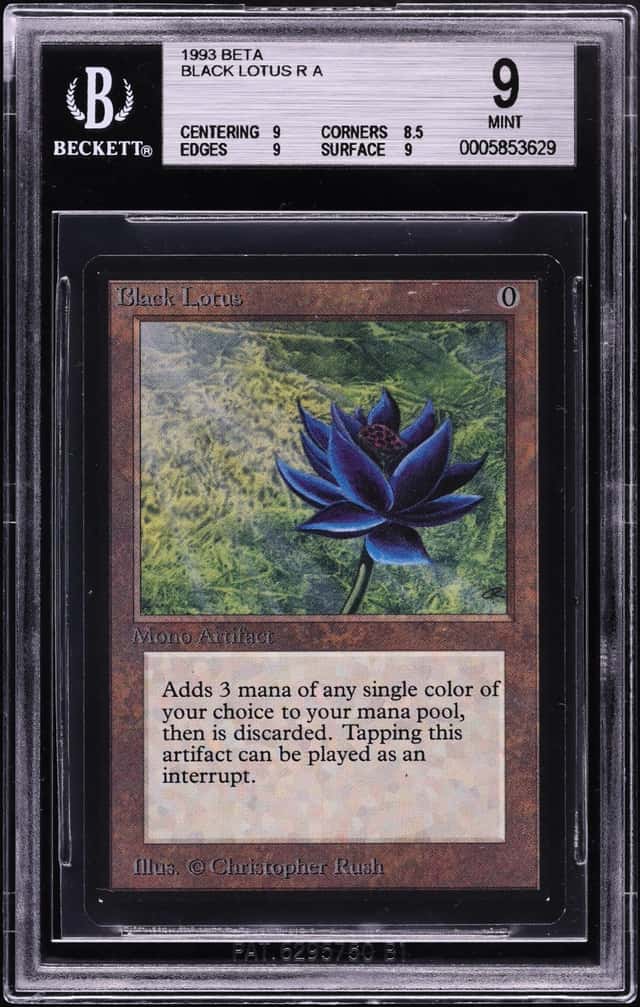 Black Lotus