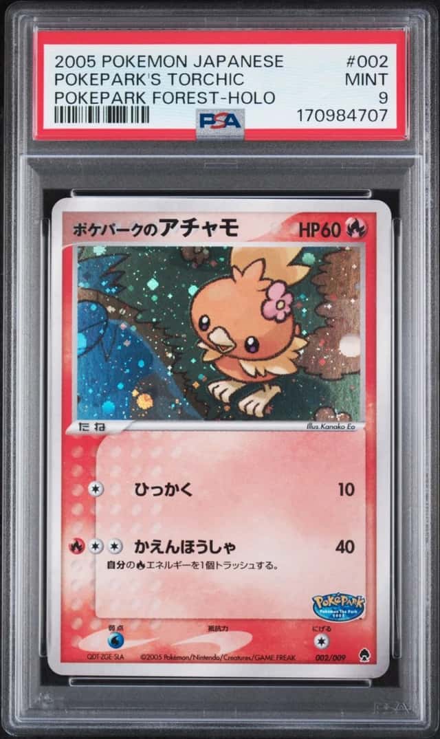 Pokepark's Torchic
