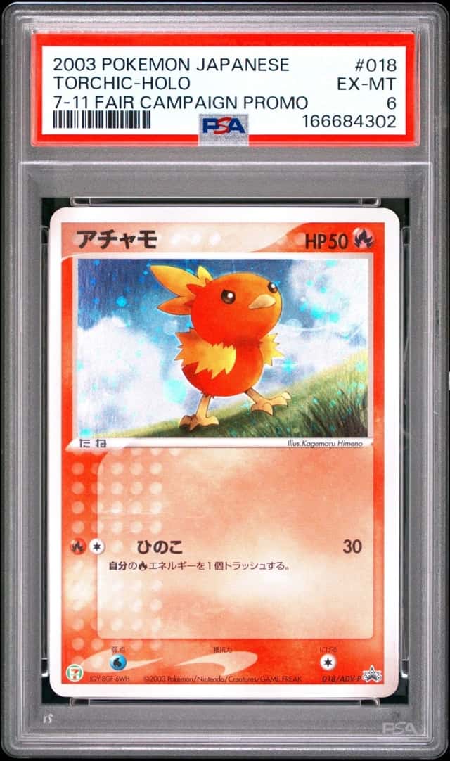 Torchic