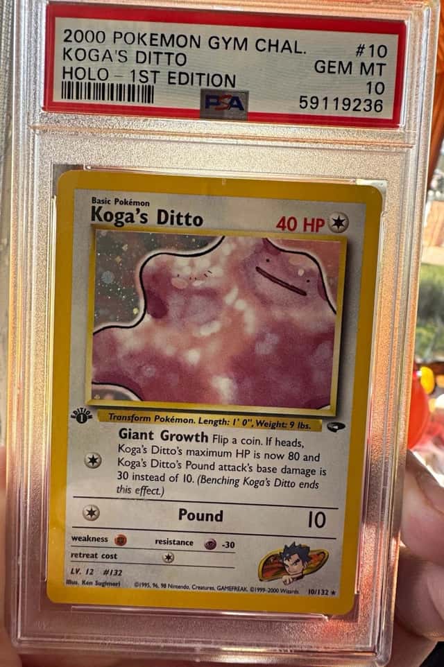 Koga's Ditto