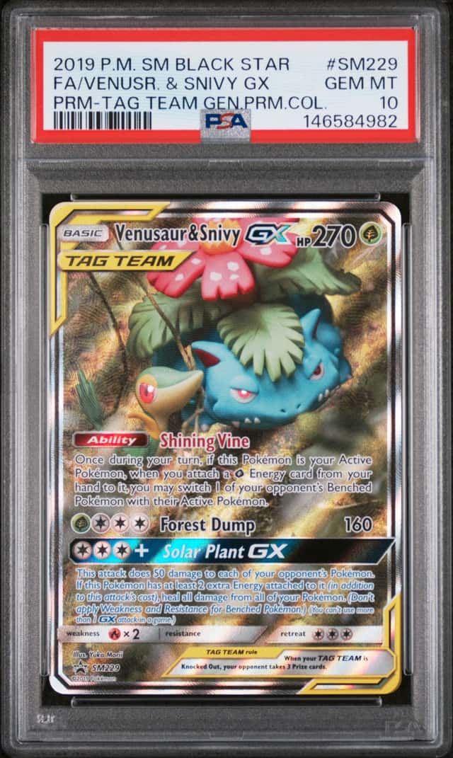 Venusaur & Snivy GX
