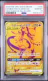 Mewtwo & Mew Gx