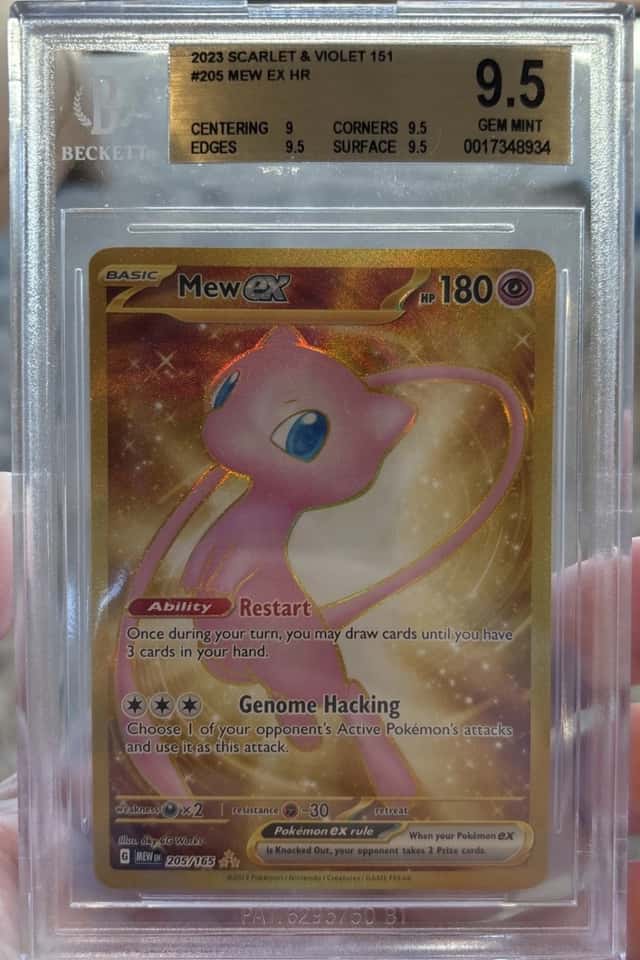 MEW ex