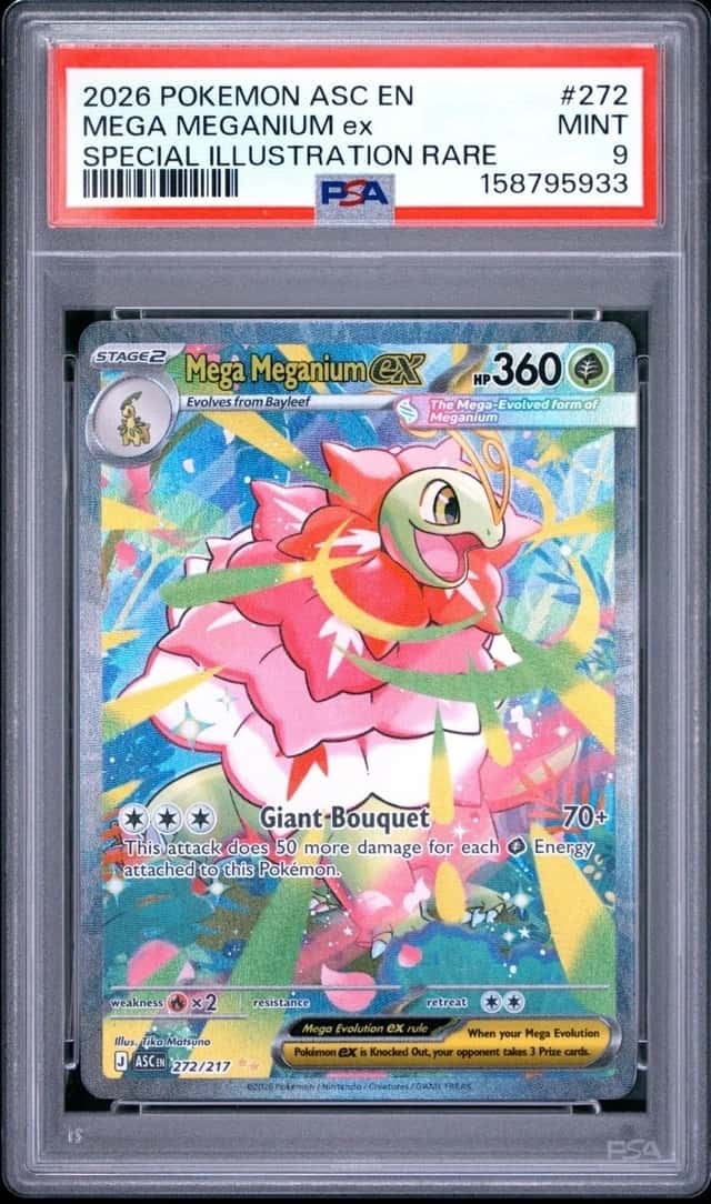 MEGA MEGANIUM ex