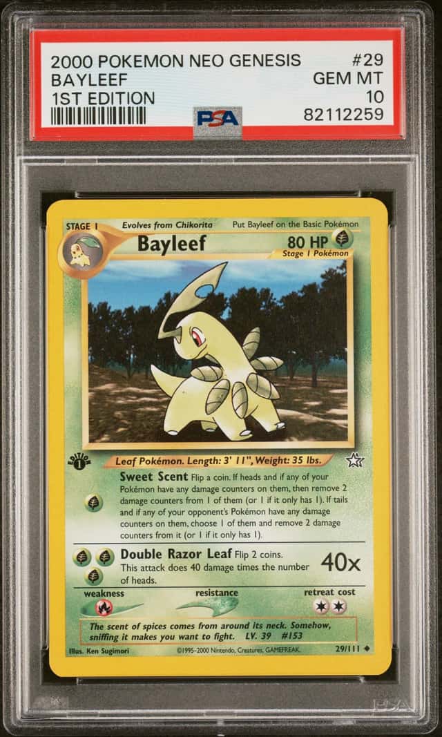 Bayleef