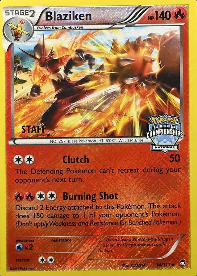 Holo · Championships National Staff