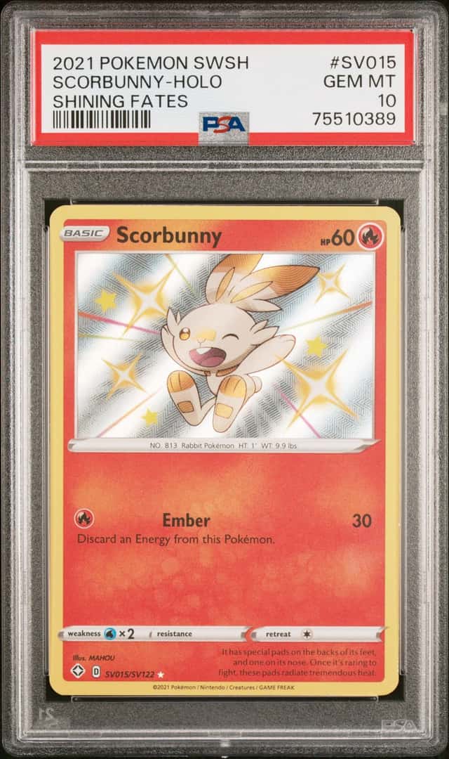 Scorbunny
