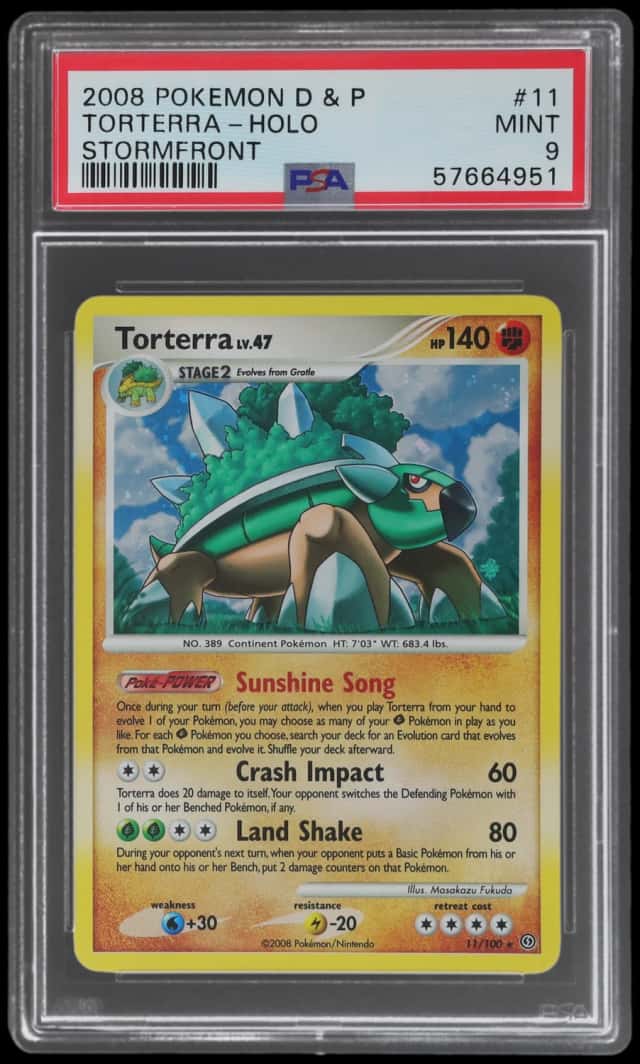 Torterra