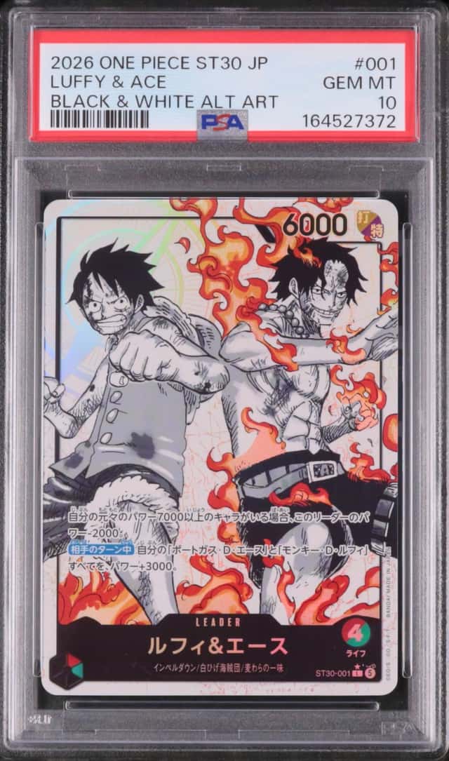 Luffy & Ace