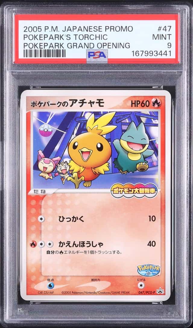 Pokepark's Torchic