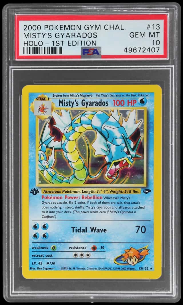 Misty's Gyarados