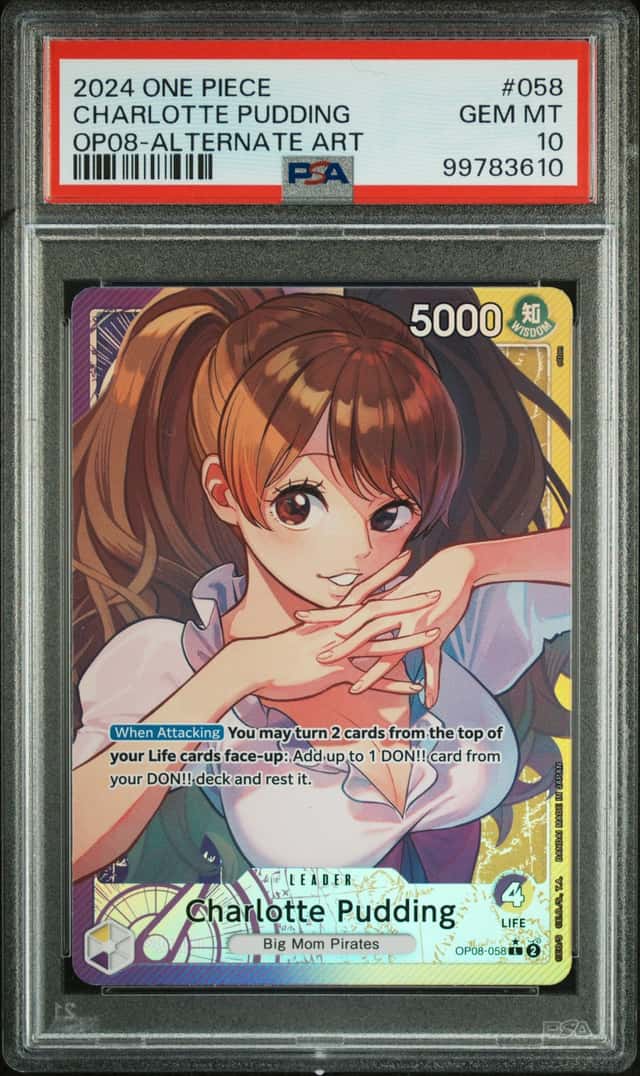 Charlotte Pudding
