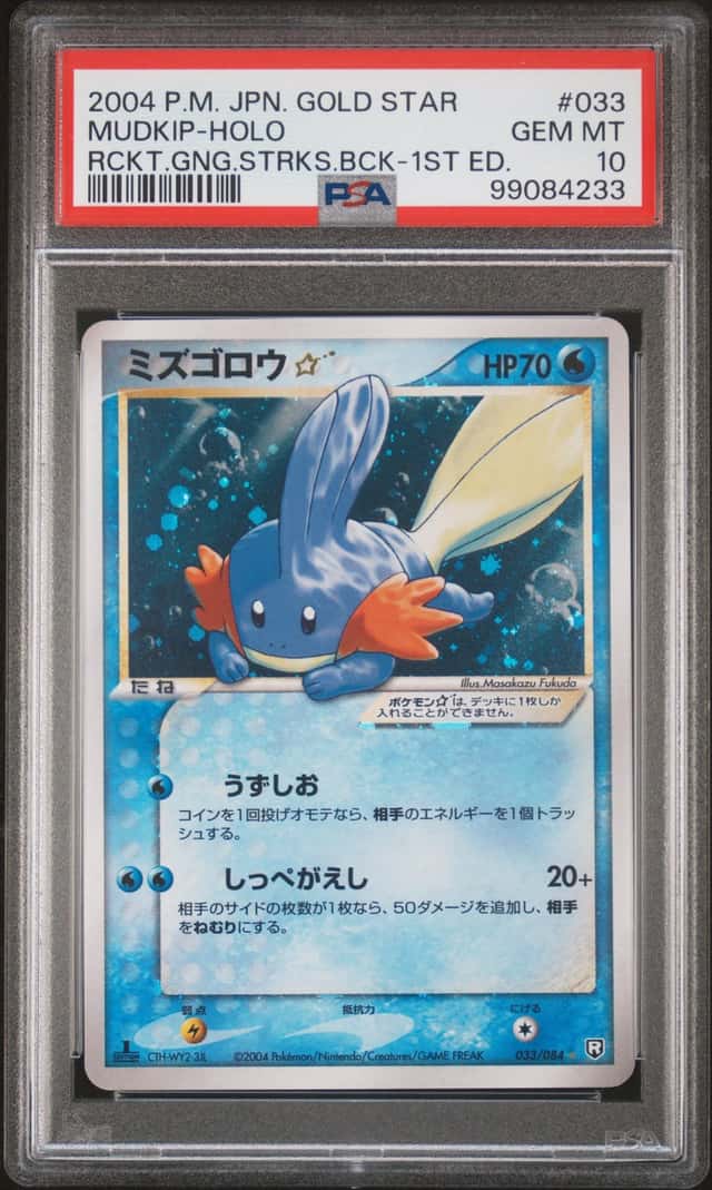 Mudkip