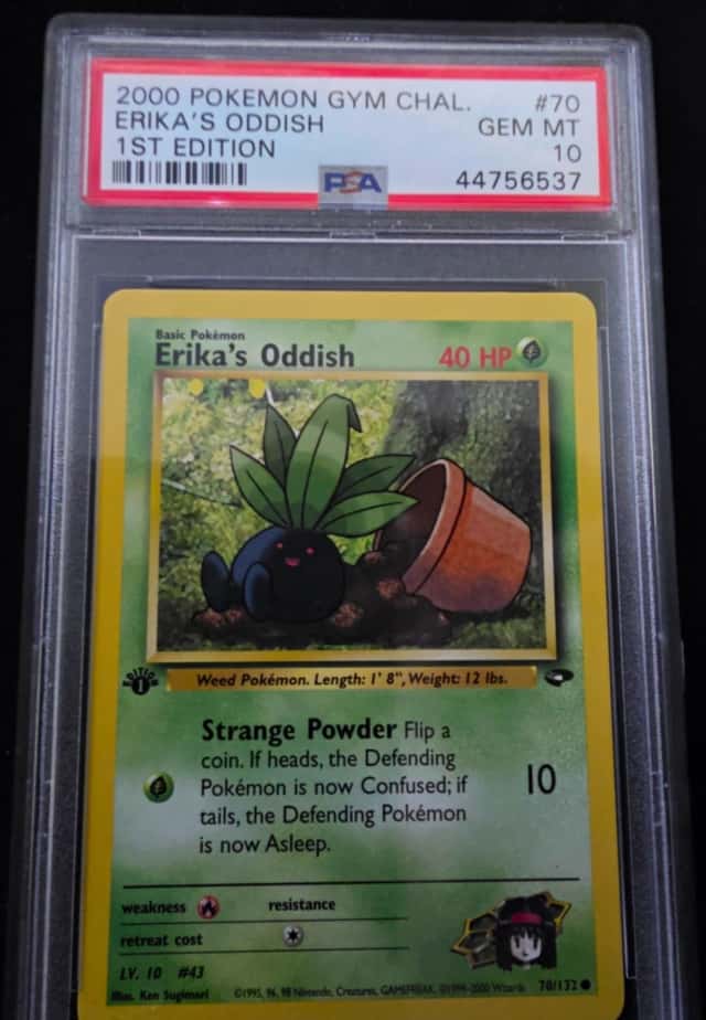 Erika's Oddish