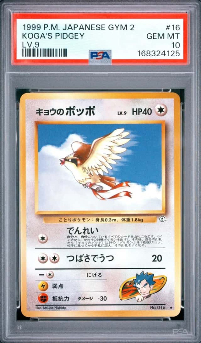 Koga's Pidgey