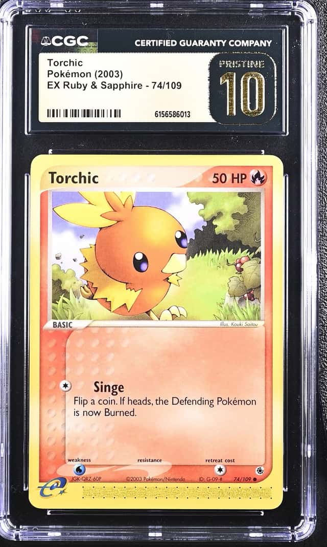 Torchic