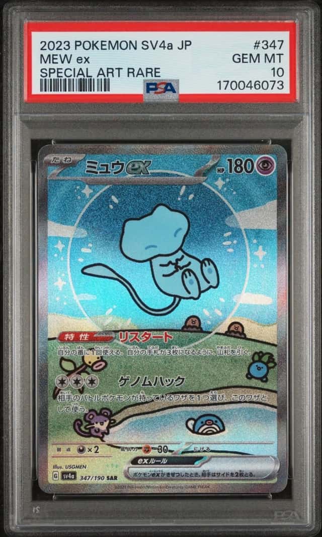 MEW ex
