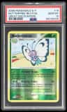 Butterfree