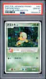 Turtwig