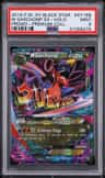M Garchomp Ex