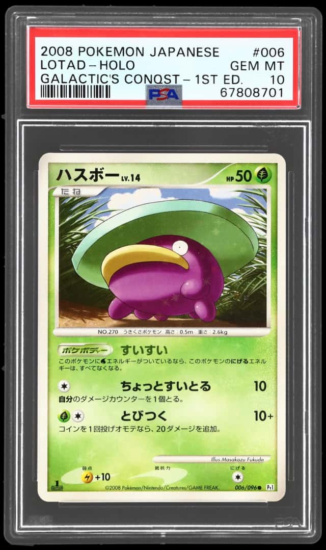 Lotad