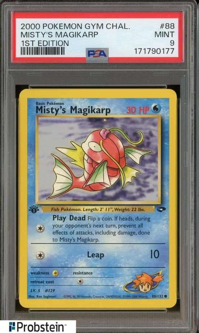 Misty's Magikarp