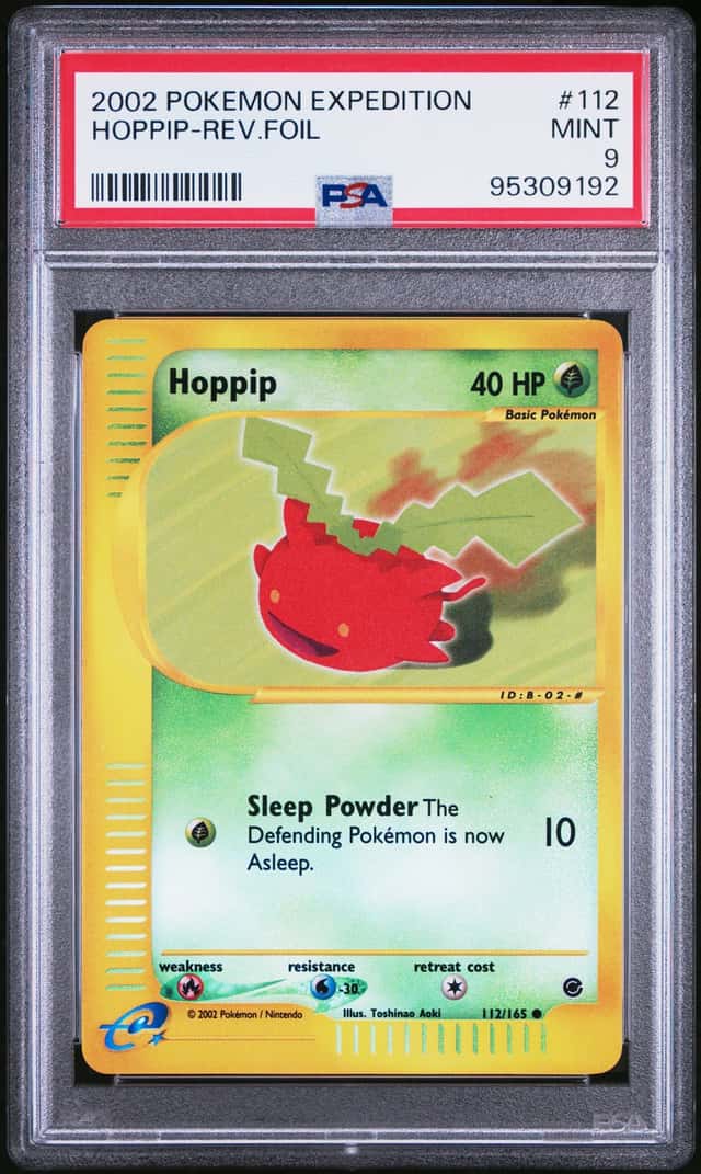 Hoppip