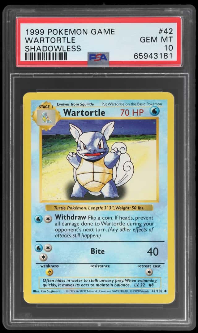 Wartortle
