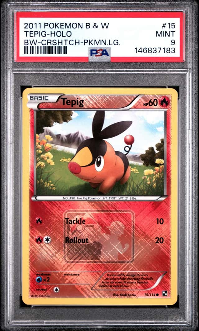 Tepig